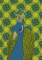 Schönheit in Mustern