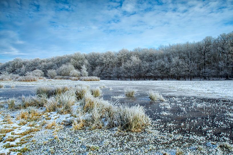 Estate Ennemaborgh Midwolda by Jan Sportel Photography