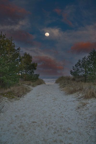 Mond vor einen Strandübergang auf Usedom mit Blick auf die Ostsee von Martin Köbsch
