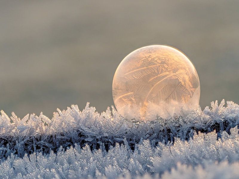 Gefrorene Kunst #4 von Lex Schulte