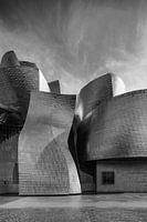 Guggenheim museum Bilboa 5