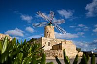 Mühle auf der Insel Gozo, Malta