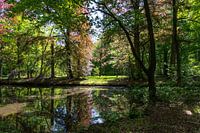 Sun rays in the Liesbos, Breda