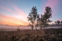 Small Hasselsven in the fog 2