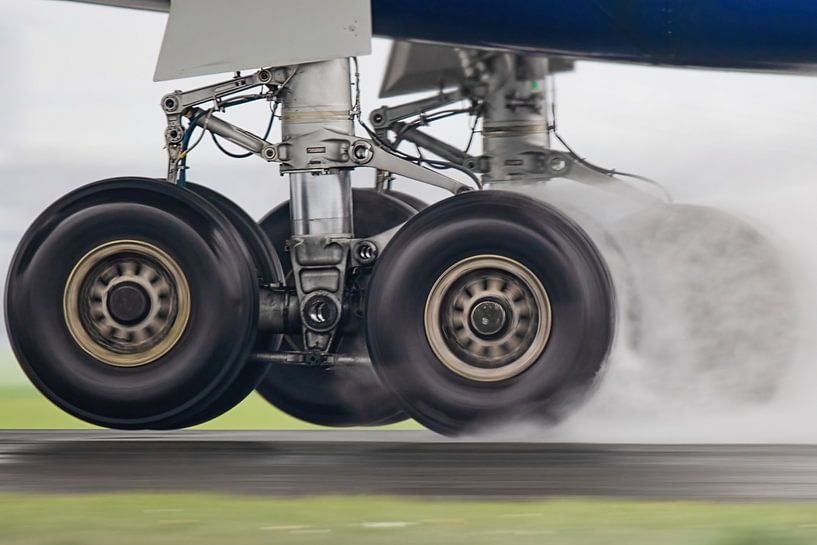 All wet par Nildo Scoop