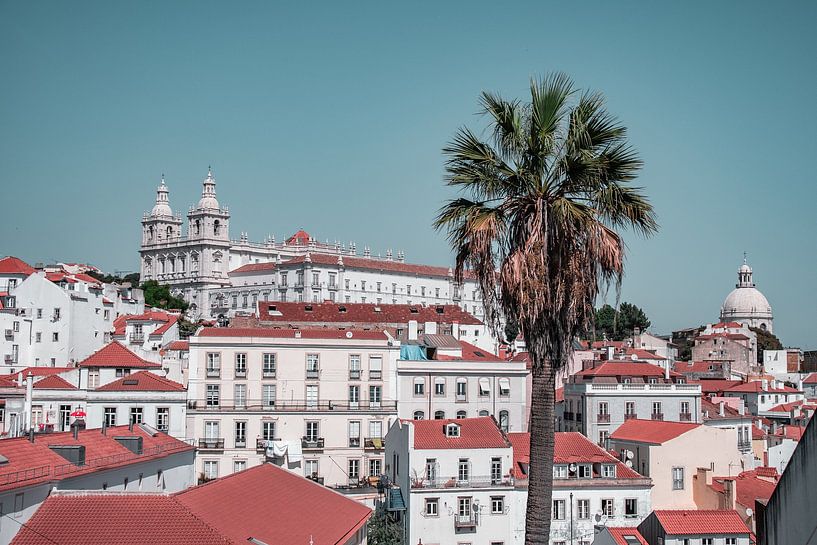 São Vicente de Fora - Le cœur de Lisbonne sous le soleil par NZME Photography