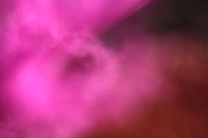 Hübsch in Rosa von Wendy Schellekens