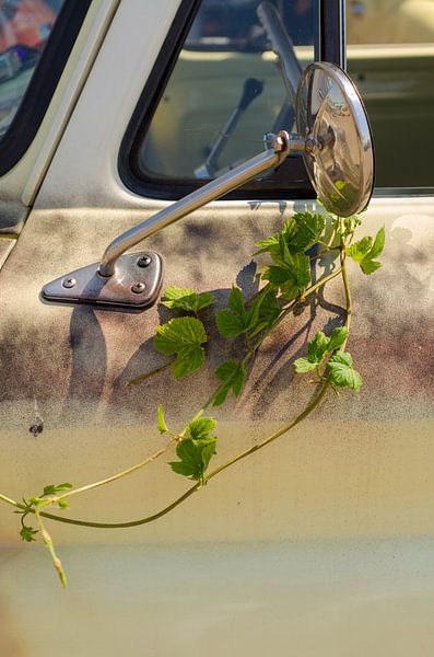 Trust me par Hannie Kassenaar