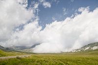 Landschap - "Clouds Kissin' the Grass"