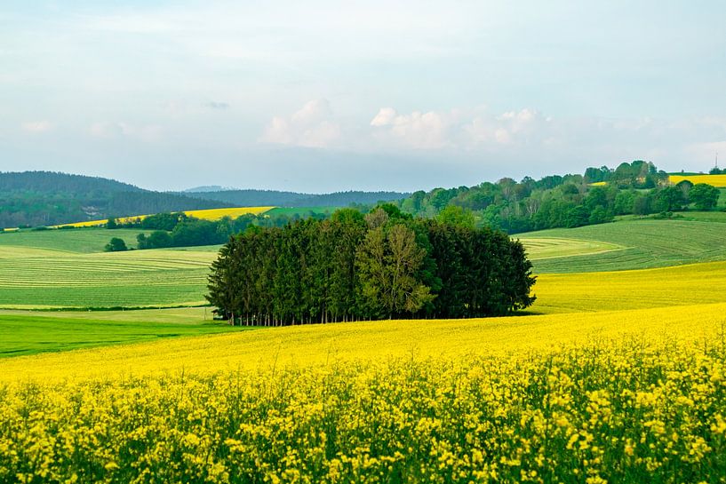 Randonnée estivale à vélo dans les environs de Schmalkalden jusqu'à la vallée de la Werra près de Fambach - Thuringe - Allemagne par Oliver Hlavaty