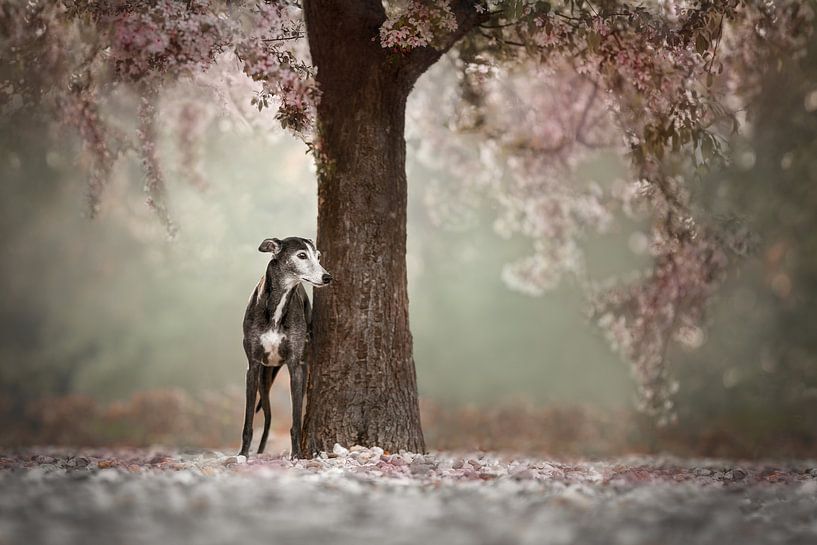 Unter dem Blütenbaum von Nuelle Flipse