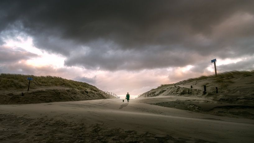 Gassi gehen mit dem Hund von Klaas Fidom