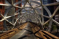 Netkous Beatrixkwartier richting schenkkade