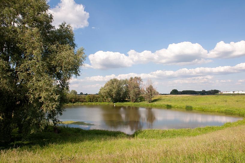 Empelsedijk par Richard Wareham