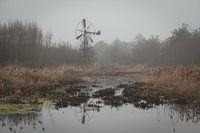 Old rusty windmill in winter landscape of nature reserve the Lindevallei