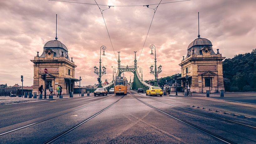 Die wunderschöne grüne Freiheitsbrücke in Budapest von Jonas Röjestål