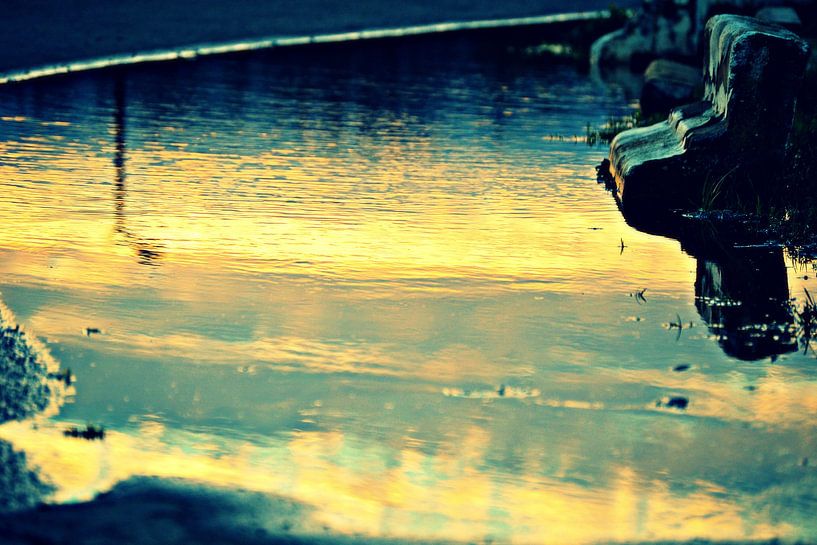 water / eau by melissa demeunier