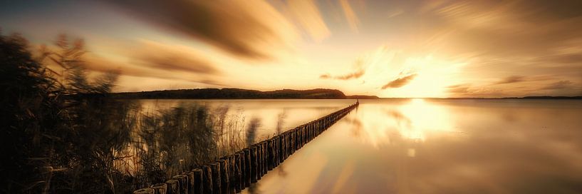 Island Rügen at the big Bodden in the sunset by Voss photography