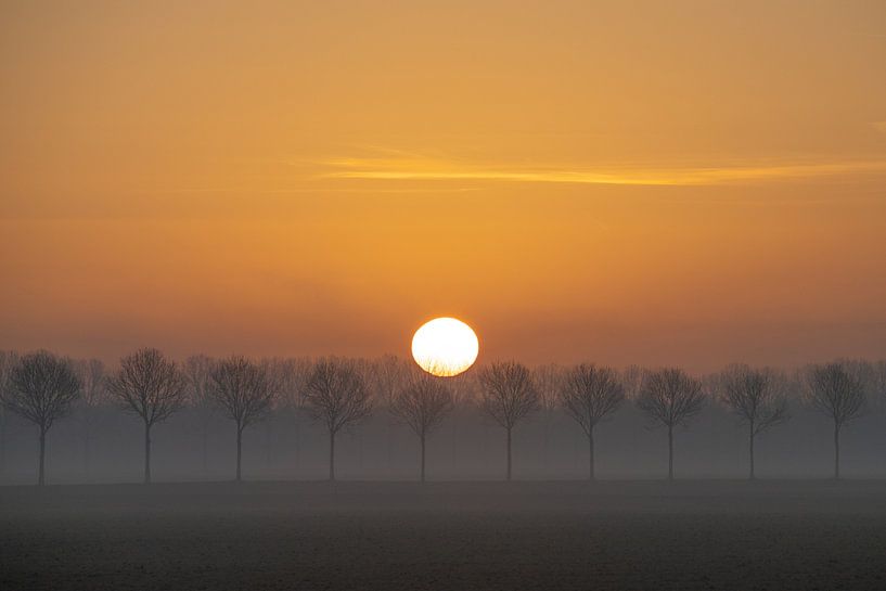 Sunrise, New Dordtse Biesbosch, landscapes by Ronald Harmsen
