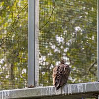 I want to get out of here