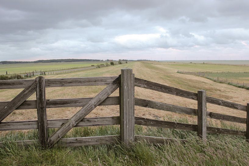 Dike on the Wadden Sea with fencing by Robin Jongerden
