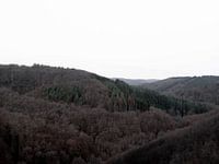 Vereinfachte und einsame Natur