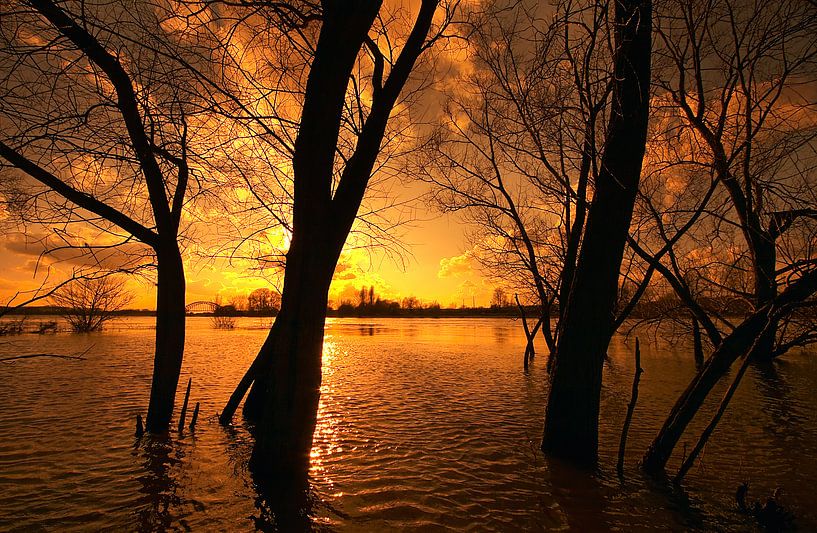 Hochwasser von Joop Snijder