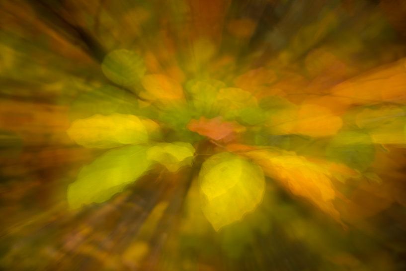 Feuerwerk der Herbstfarben von jowan iven