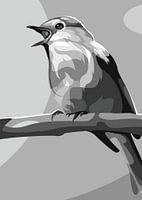 Grauer Schöner Vogel Popart