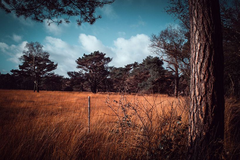 landschap van b.dutch