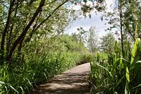 Passage Zuidpolder Barendrecht