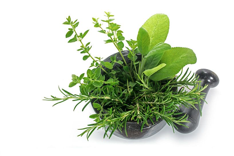 herbes méditerranéennes fraîches, origan, romarin et sauge dans un mortier avec pilon en granit noir par Maren Winter
