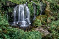 Wasserfall im Schwarzwald