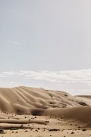 The rolling sand dunes of Sossusvlei