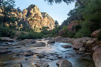 Zion National Park USA