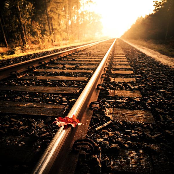 Wenn die Tragödie eintritt von Cho Tang