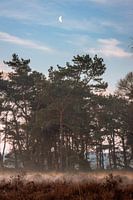 Morgenglühen in Buurserzand