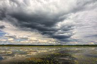 Uferlandschaft Federsee mit dunklen Wolken