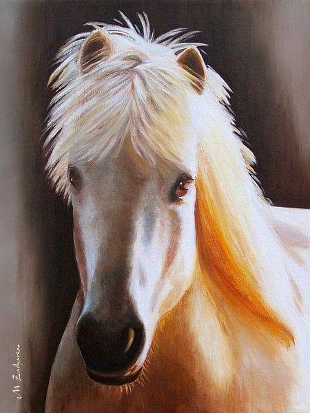 Portrait Icelandic horse by Marita Zacharias