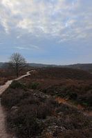 Landschaft bei der Posbank