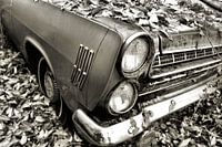 Car in fall
