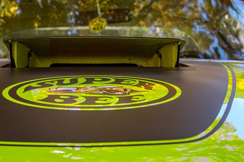 Super Bee Power par Photoart-Naegele