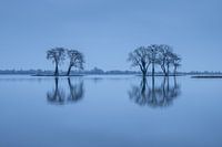 Blue hour Reeuwijkse Plassen