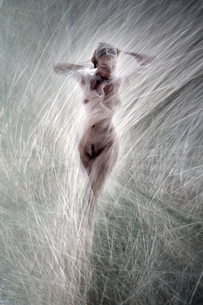 Gras fluistert 3 van Fotokompost von Lichtgestalt