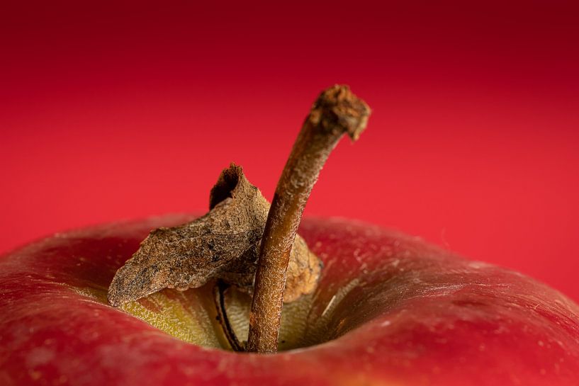 Apfel mit rotem Hintergrund von Irene Ruysch fotografie