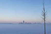 Foggy skyline Bingelrade