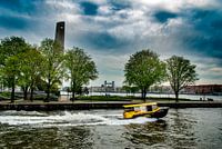 Speeding on the river