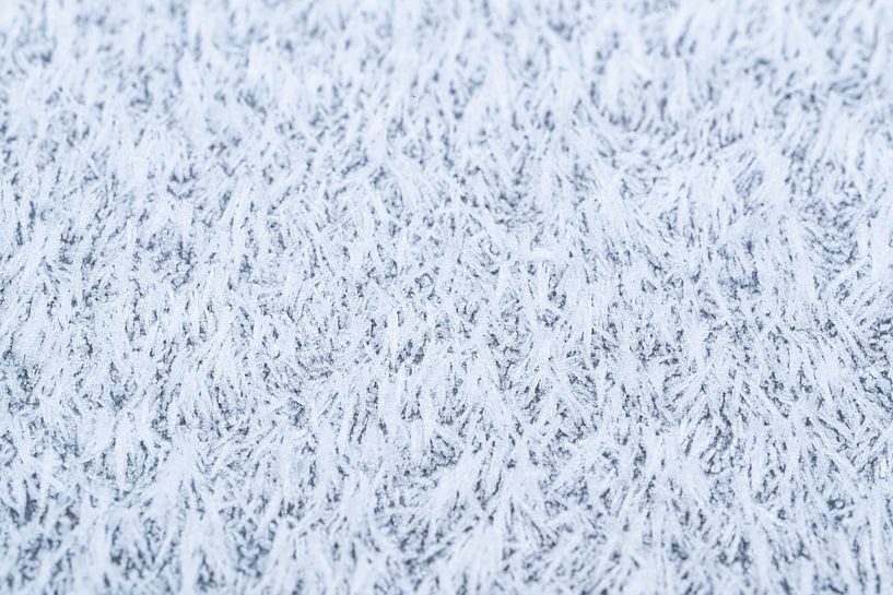 Die Magie des Frosts, abstrakter Winterfrost aus nächster Nähe von Christiaan Poot