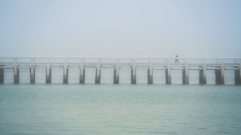 Alles, was wir haben, sind Momente. von Rik Verslype