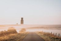 Tour dodue dans la brume.